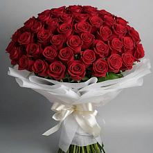 Букет 101 Красная роза Блэк Мэджик в Бородыновке