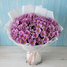 Букет цветов из:  Хризантемы в Бородыновке