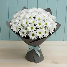 Букет цветов из:  Хризантемы в Бородыновке