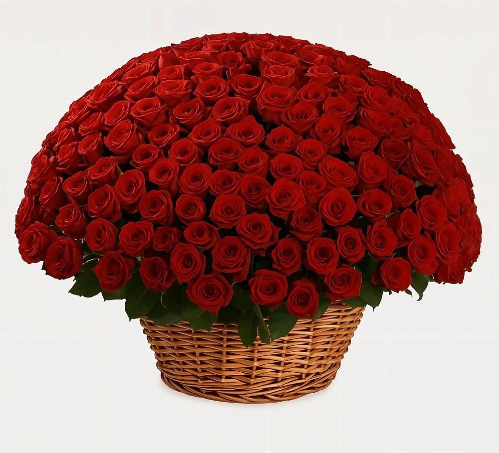 Премиум букет из: Розы в Бородыновке