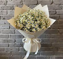 Букет цветов из:  Ромашки #REPLACE_PRED# Бородыновке