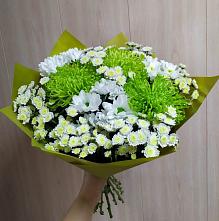 Букет цветов из:  Хризантемы #REPLACE_PRED# Бородыновке