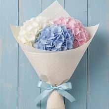 Букет цветов из:  Гортензия #REPLACE_PRED# Бородыновке