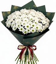 Букет цветов из:  Хризантемы #REPLACE_PRED# Бородыновке