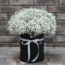 Цветочная композиция из Гипсофила в шляпной коробке в Бородыновке