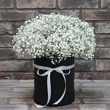 Цветочная композиция из Гипсофила в шляпной коробке в Бородыновке