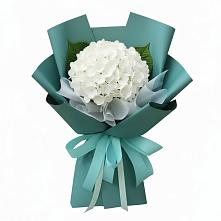 Букет цветов из:  Гортензия в Бородыновке